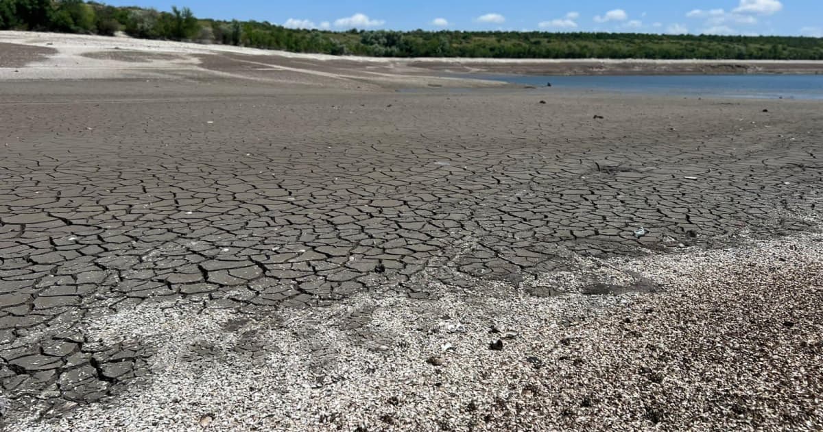 Due to the explosion at Kakhovka HPP, national parks such as Velykyi Luh and Kamianska Sich are gradually turning into deserts — Ministry of Environment