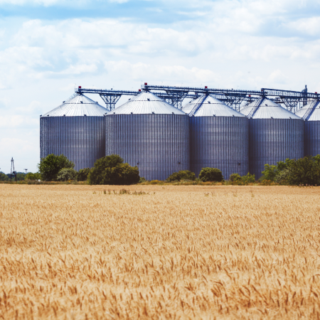 Romania wants to increase the transit of Ukrainian grain from 2 to 4 million tonnes per month