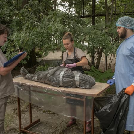 About a thousand dolphins died in the Black Sea — Ministry of Environment