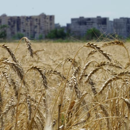 In 2022, Russia exported six million tonnes of grain from the temporarily occupied territories of Ukraine