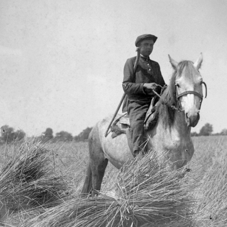 The Law of Five Ears of Grain, a bloody tool of the Holodomor organisers