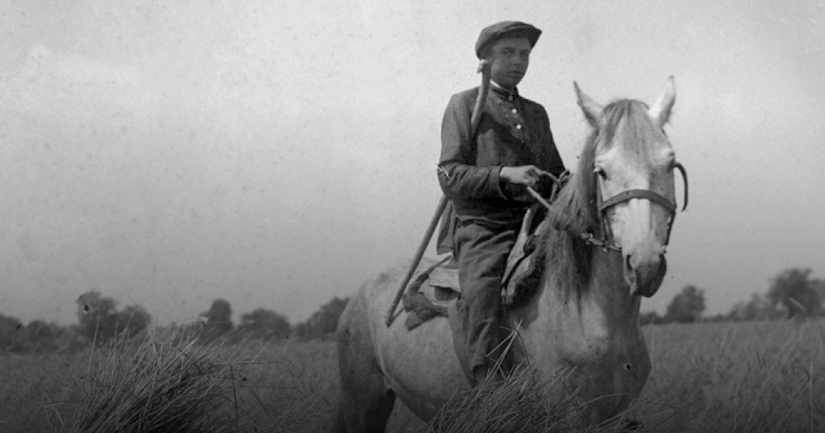 The Law of Five Ears of Grain, a bloody tool of the Holodomor organisers